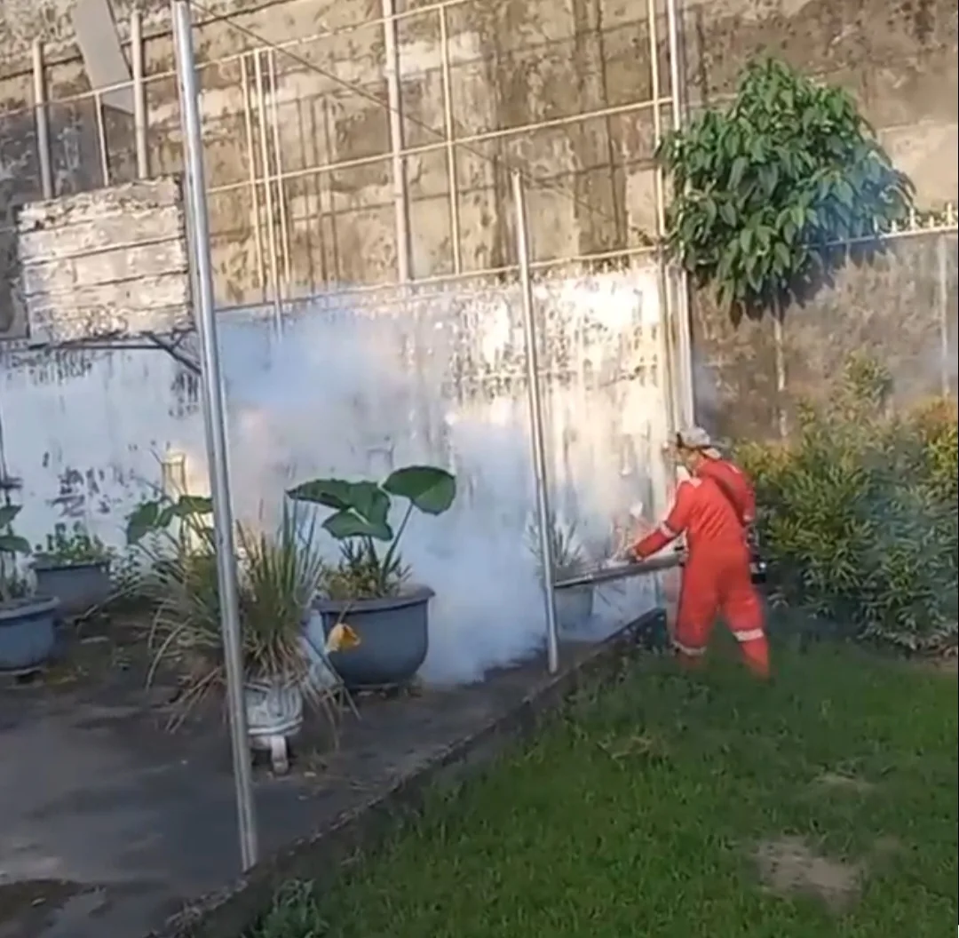 Jasa Pengendalian Hama Palembang | Pest Control, Fogging, Fumigasi & Anti Rayap - CYBERPEST PALEMBANG - gambar 6