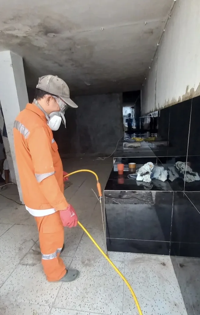 Jasa Pengendalian Hama Palembang | Pest Control, Fogging, Fumigasi & Anti Rayap - CYBERPEST PALEMBANG - gambar 7