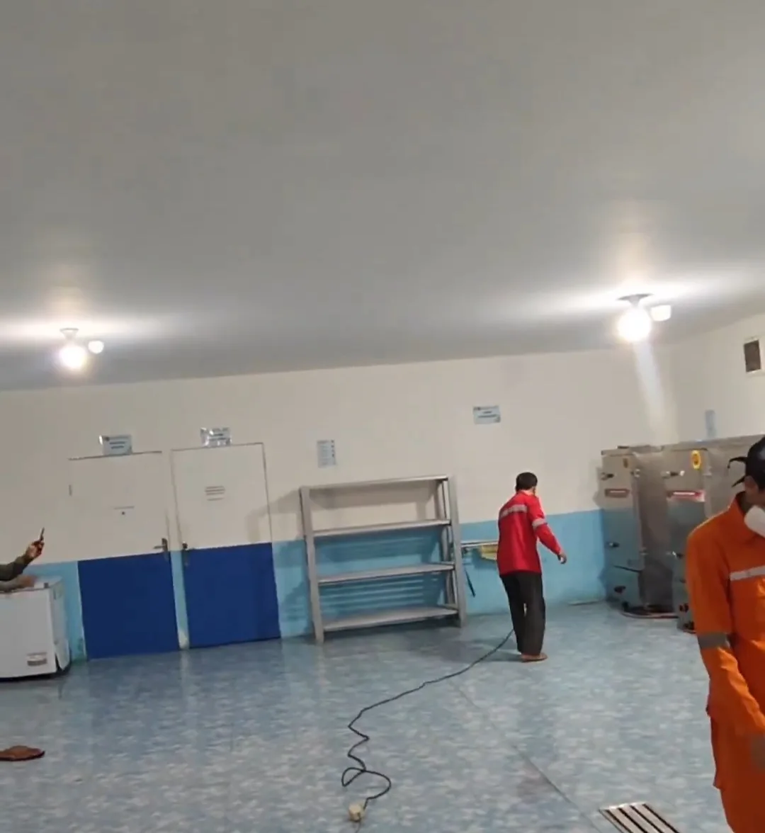 Jasa Pengendalian Hama Palembang | Pest Control, Fogging, Fumigasi & Anti Rayap - CYBERPEST PALEMBANG - gambar 4