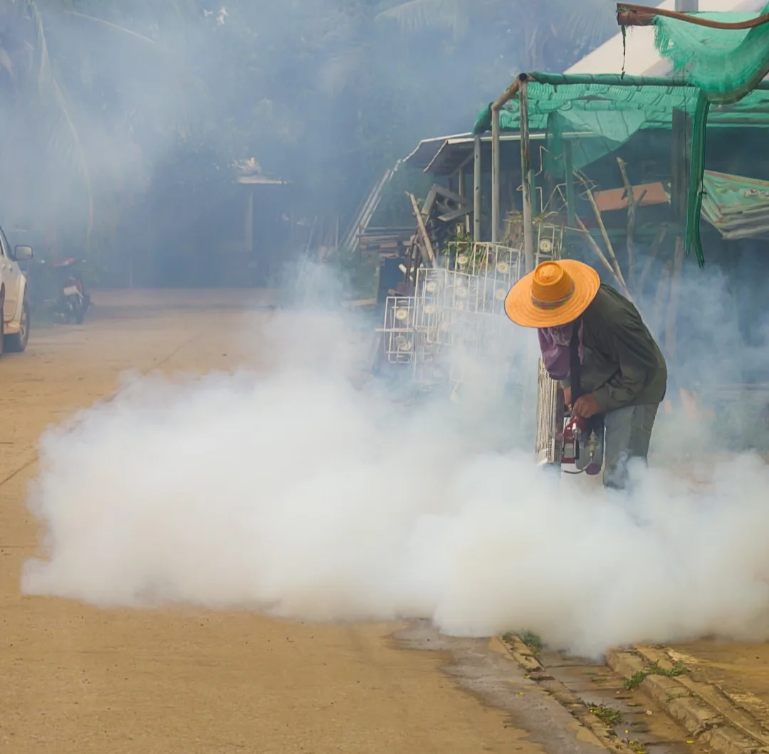 Local Pest - Jasa Pengendalian Hama Palembang | Pest Control, Fogging, Fumigasi & Anti Rayap - gambar 7