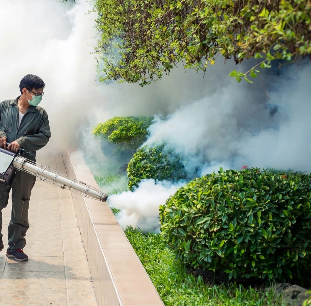 Local Pest - Jasa Pengendalian Hama Palembang | Pest Control, Fogging, Fumigasi & Anti Rayap - gambar 6