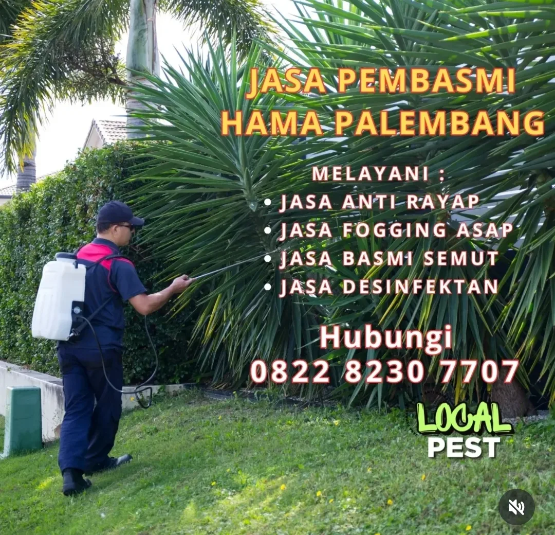 Local Pest - Jasa Pengendalian Hama Palembang | Pest Control, Fogging, Fumigasi & Anti Rayap - gambar 10