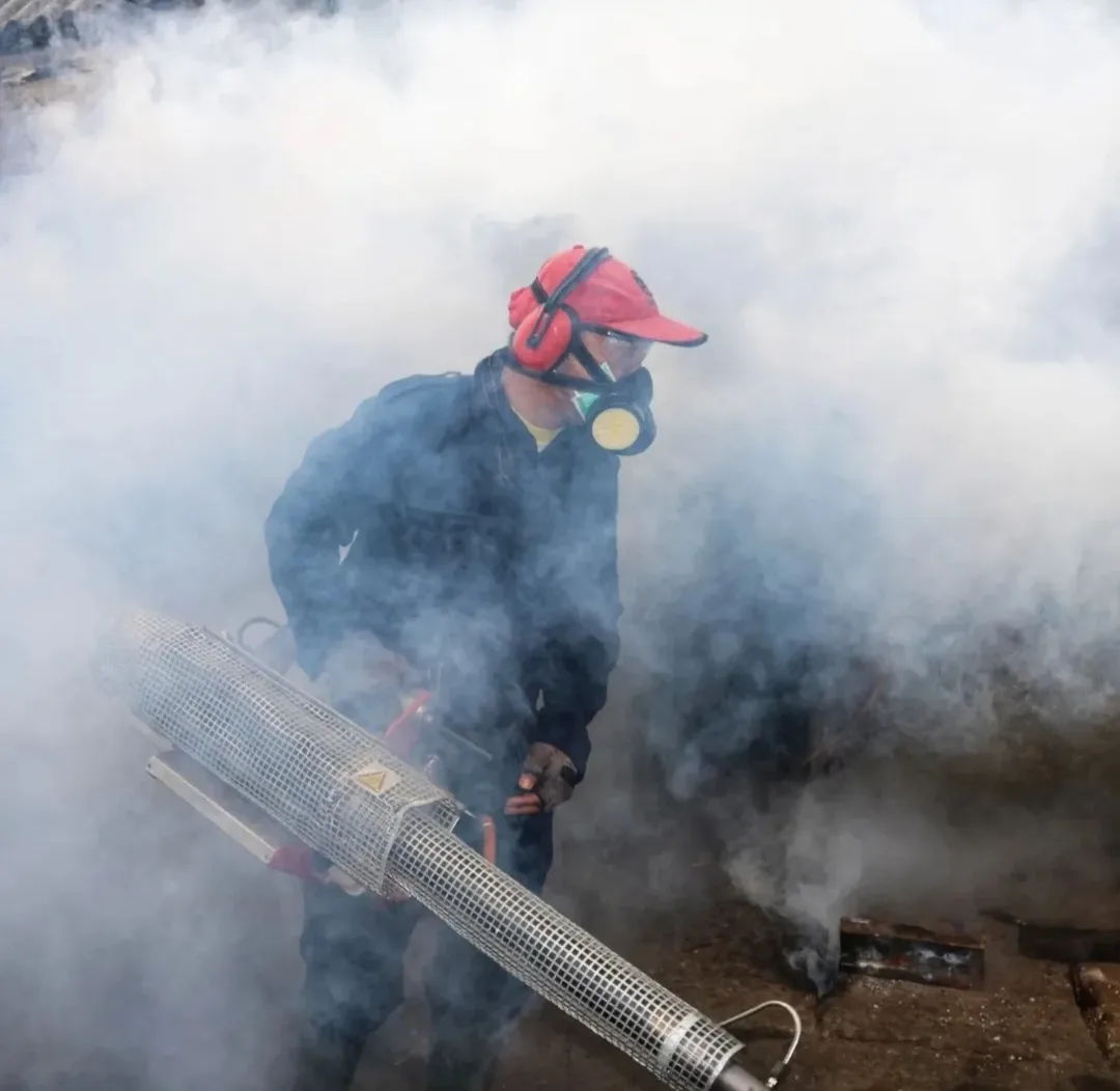 Local Pest - Jasa Pengendalian Hama Palembang | Pest Control, Fogging, Fumigasi & Anti Rayap - gambar 4