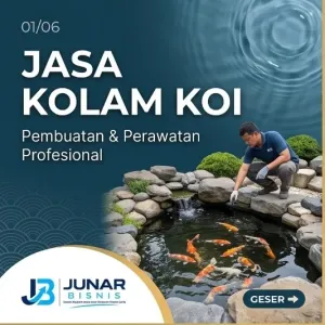 Jasa Kolam Koi Medan | Desain, Filtrasi & Perawatan — Junar Bisnis