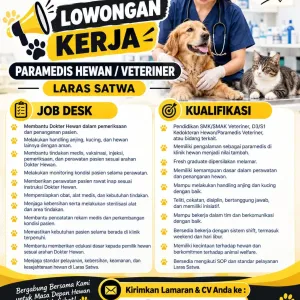 Lowongan Kerja Paramedis Hewan di Laras Satwa – Bergabung Bersama Tim Kami