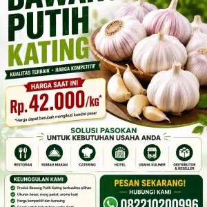 Supplier Bawang Putih Kating untuk Restoran, Rumah Makan, Catering, Hotel, Distributor & Reseller
